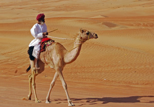 camelbedu_sharqiya sands