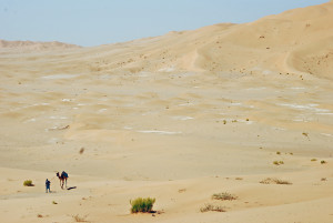 desert_travel