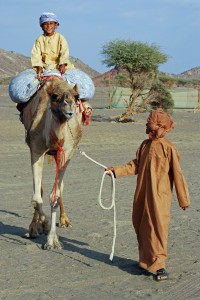 boys_testing_equipment_on_camel The Wahiba Bedus way to carry equipment......puuuhh........