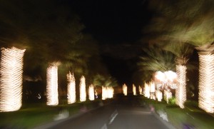 guldsomglimmar_bynight_mattrah Initially it was all like a dream with possibilities in every corner, now it is just a mental void.....the question is, what will happen next?...