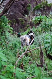 walking_thorugh_forest_nyarigongo