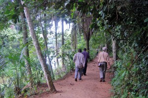 bonobo_park bonobo_park