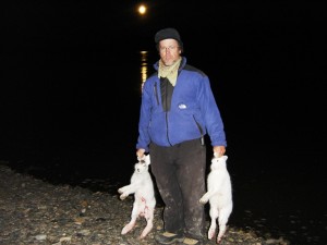 The Siberian hares were not only big, but really tasty and nutritious!