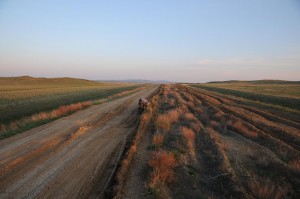 I knew that there is a large, deserted steppe in front of me and that was what attracted me most, after having cycled through Russian agricultural area. I had biked through the outback of Australia two years earlier and I knew how it would feel to just pedal on through deserted areas.