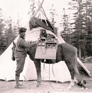 The first radio used in equestrian exploration