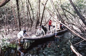 Wai Wai _ transporting grand piano