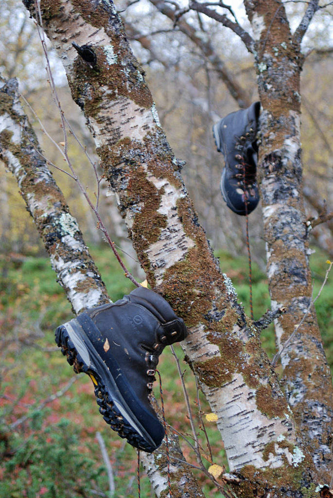 dryingboots