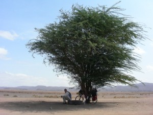 Resting in the shade in Djibouti 2011