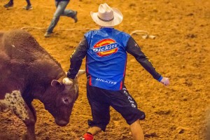 Jim Clash with bull Horny Toad at Billy Bob's Texas just before being thrown. (Photo: Andy Gregory/Humps n Horns Magazine)