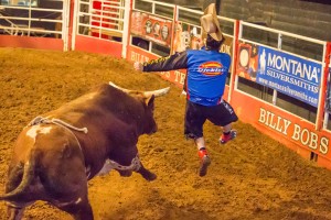 Jim Clash airborne in the Texas ring after being thrown by bull Horny Toad. At this point, Clash is just along for the ride. (Photo: Andy Gregory/Humps n Horns Magazine)