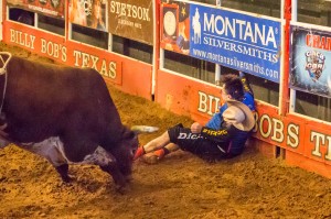 Jim Clash with bull Horny Toad after being thrown into the fence in the Texas ring. PBR bull-fighters Frank Newsom and Shorty Gorham quickly distracted the bull before it had a chance for a second attack. (Photo: Andy Gregory/Humps n Horns Magazine)