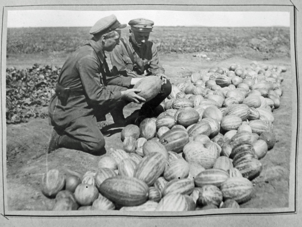 KARLAG personnel checking the crops. Photo Cortesy Bolashak Univesrity