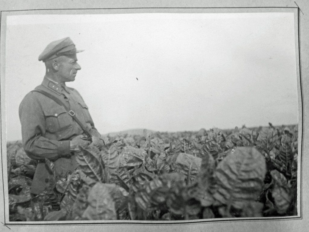 A KARLAG official overlooking the crops, KARLAG was mainly an agricultural point. Copyright Bolashak University