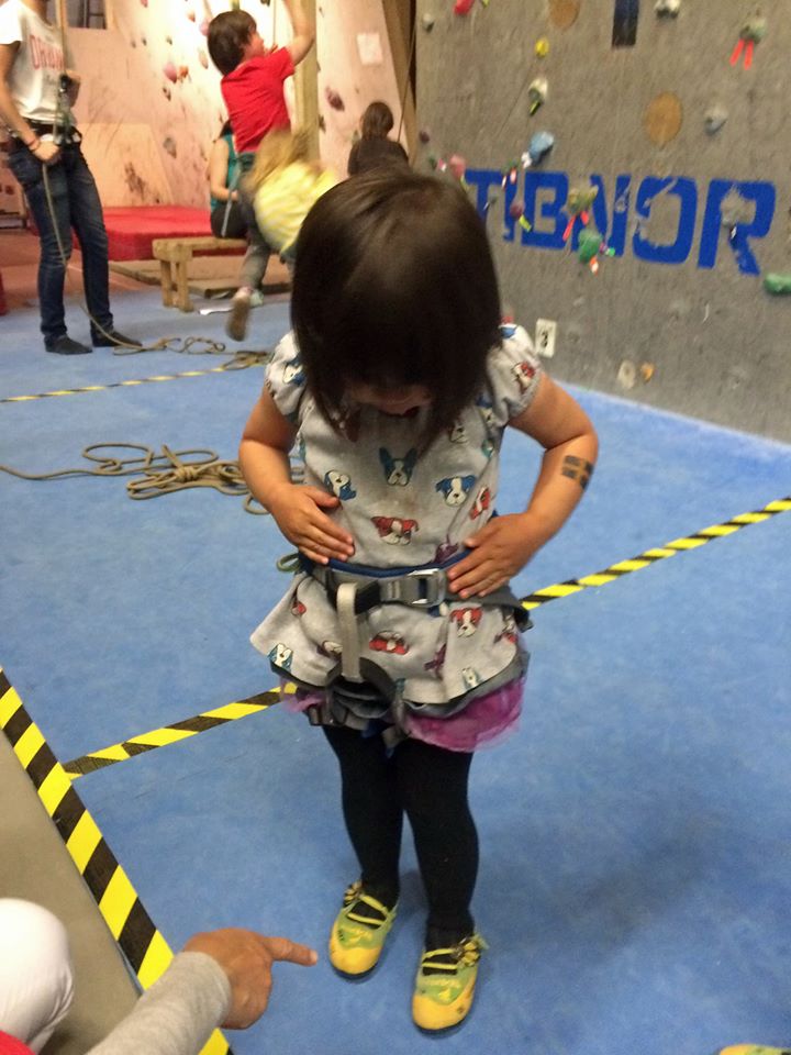 Climbing without fear
